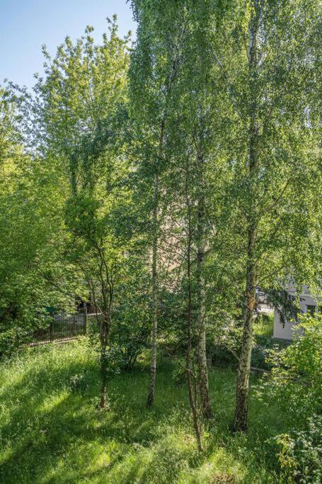 Rozana, Stary Mokotow Apartman Varsó Kültér fotó